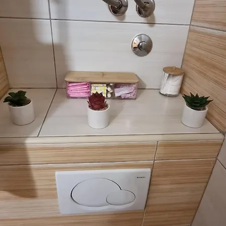 Apartman Dana Apartment *
